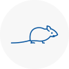 Mice Exterminators In Newport Hampshire
